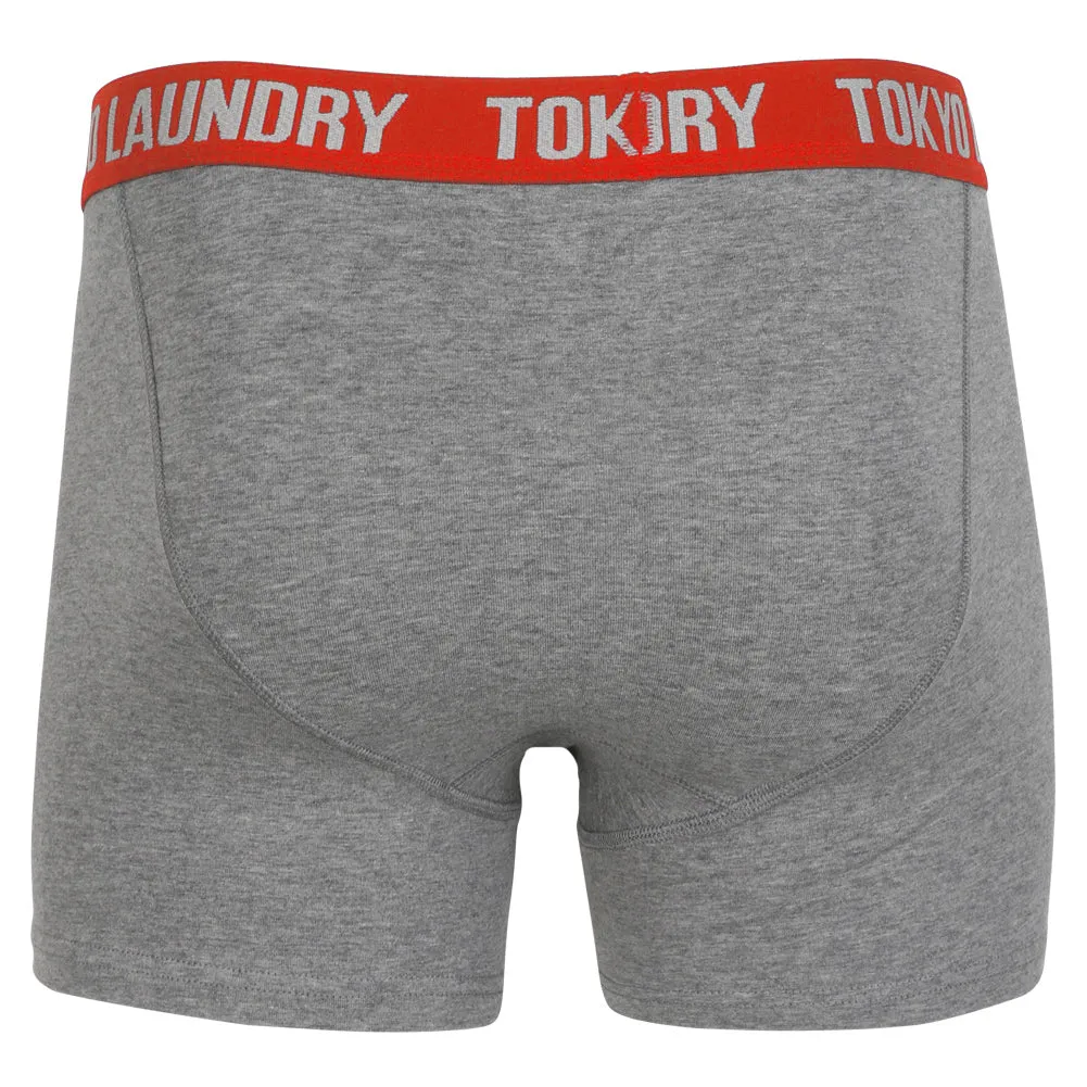 Harecourt (2 Pack) Boxer Shorts Set in Federal Blue / Mid Grey Marl - Tokyo Laundry