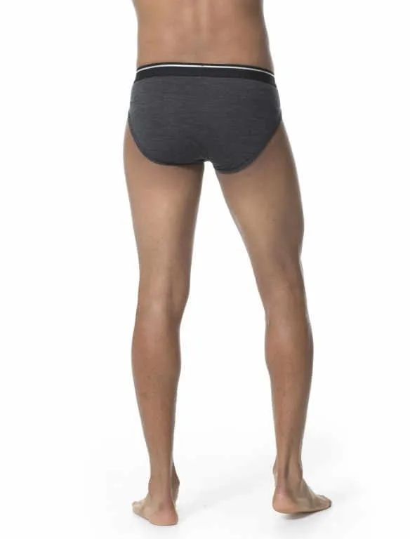 icebreaker Merino Undergarment Men's Anatomica Briefs Underwear