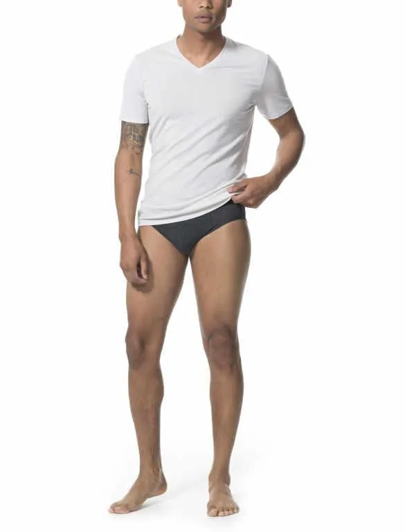 icebreaker Merino Undergarment Men's Anatomica Briefs Underwear