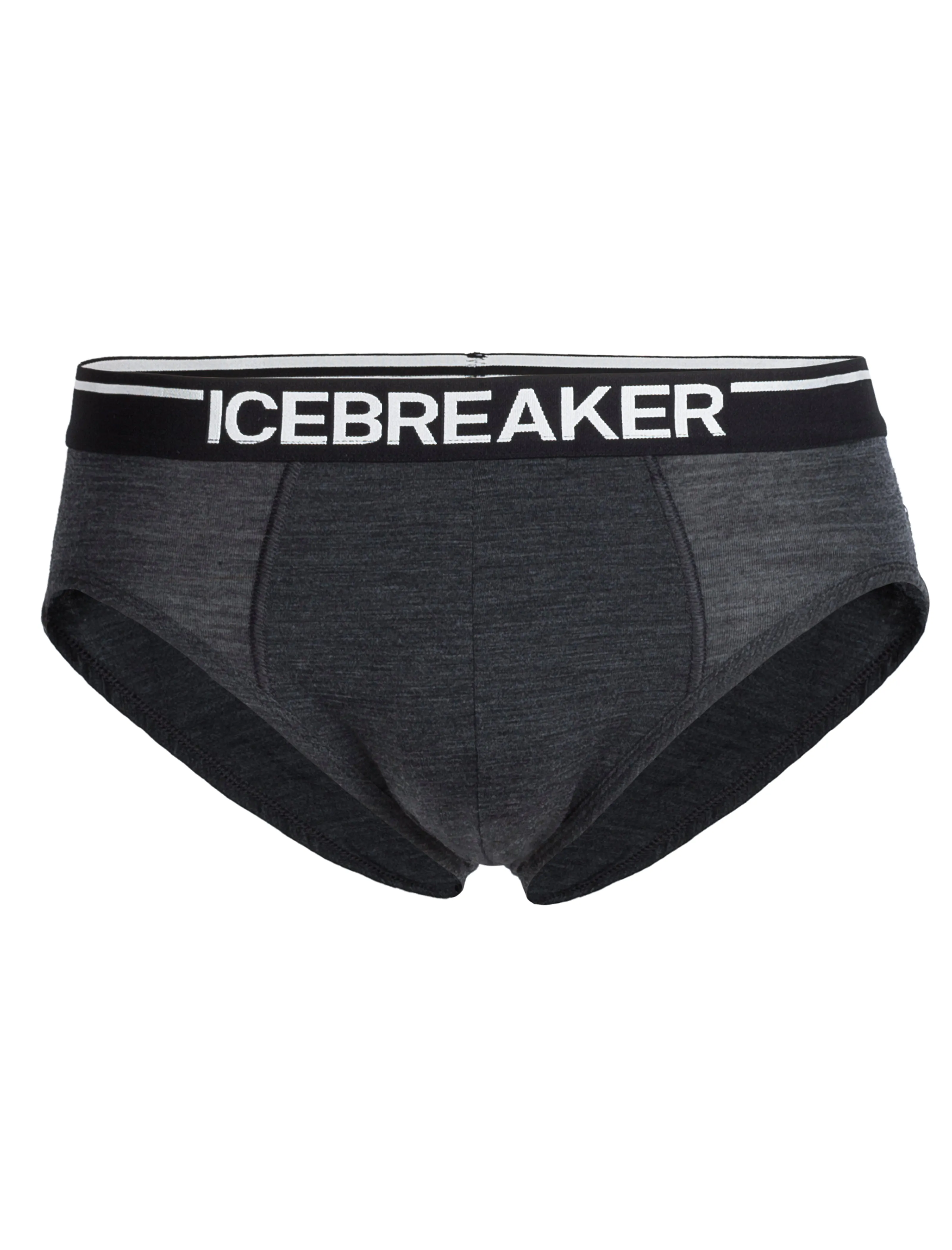 icebreaker Merino Undergarment Men's Anatomica Briefs Underwear