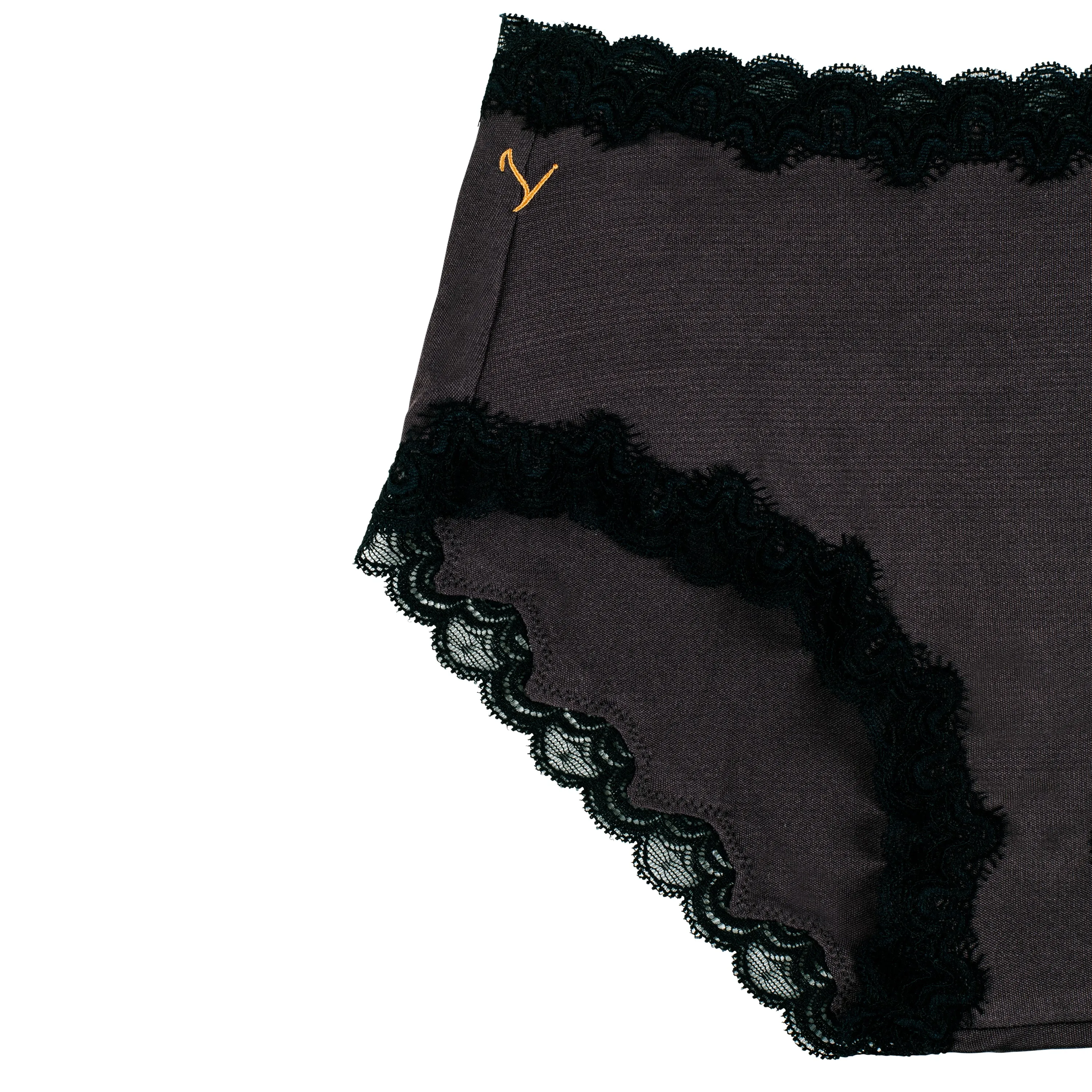 Soft Silk Briefs with Contrast Lace