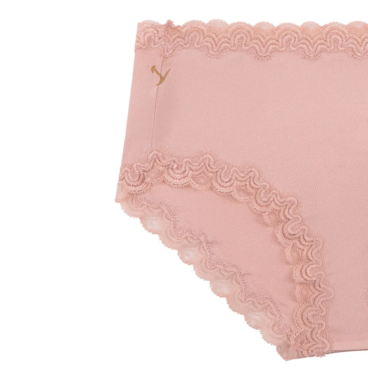 Soft Silk Briefs with Contrast Lace