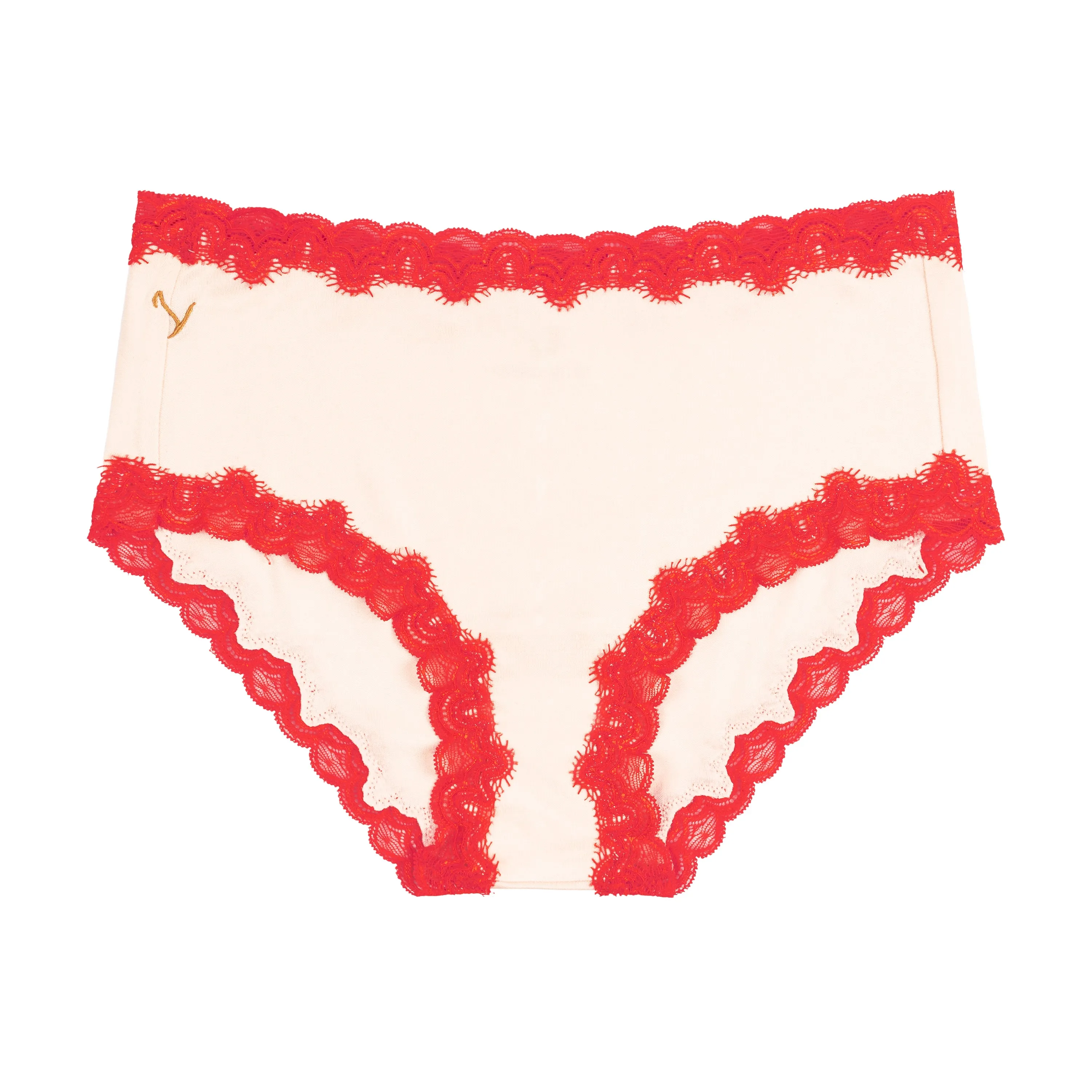 Soft Silk Briefs with Contrast Lace