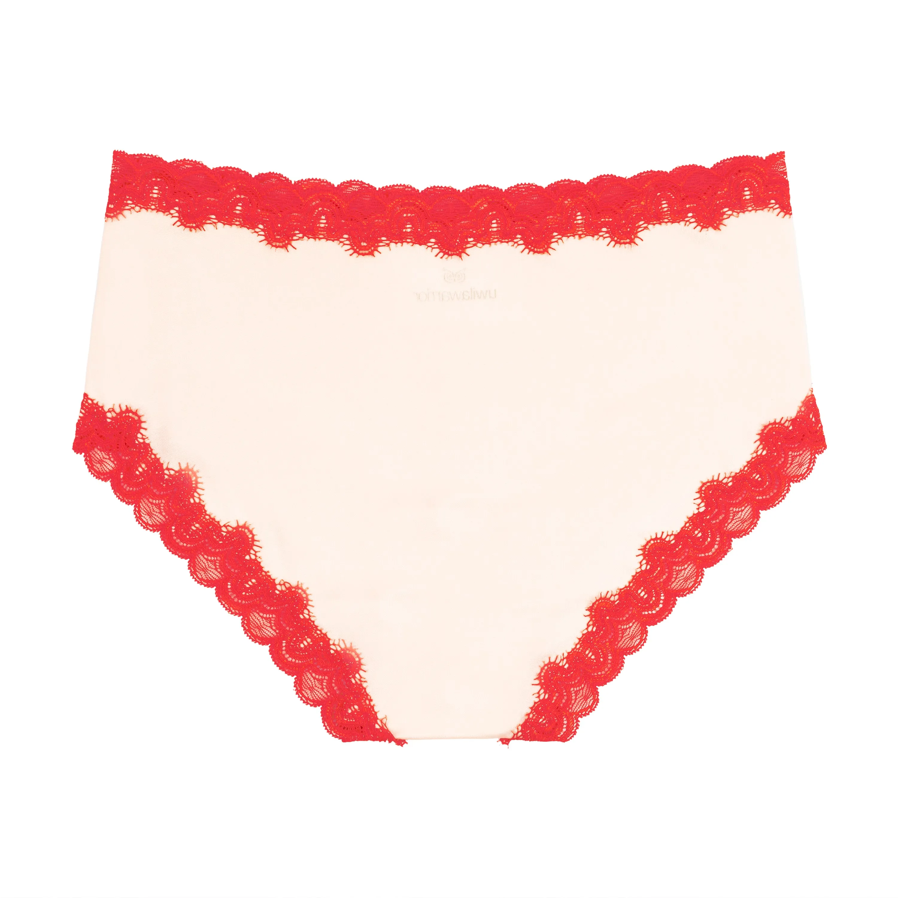 Soft Silk Briefs with Contrast Lace